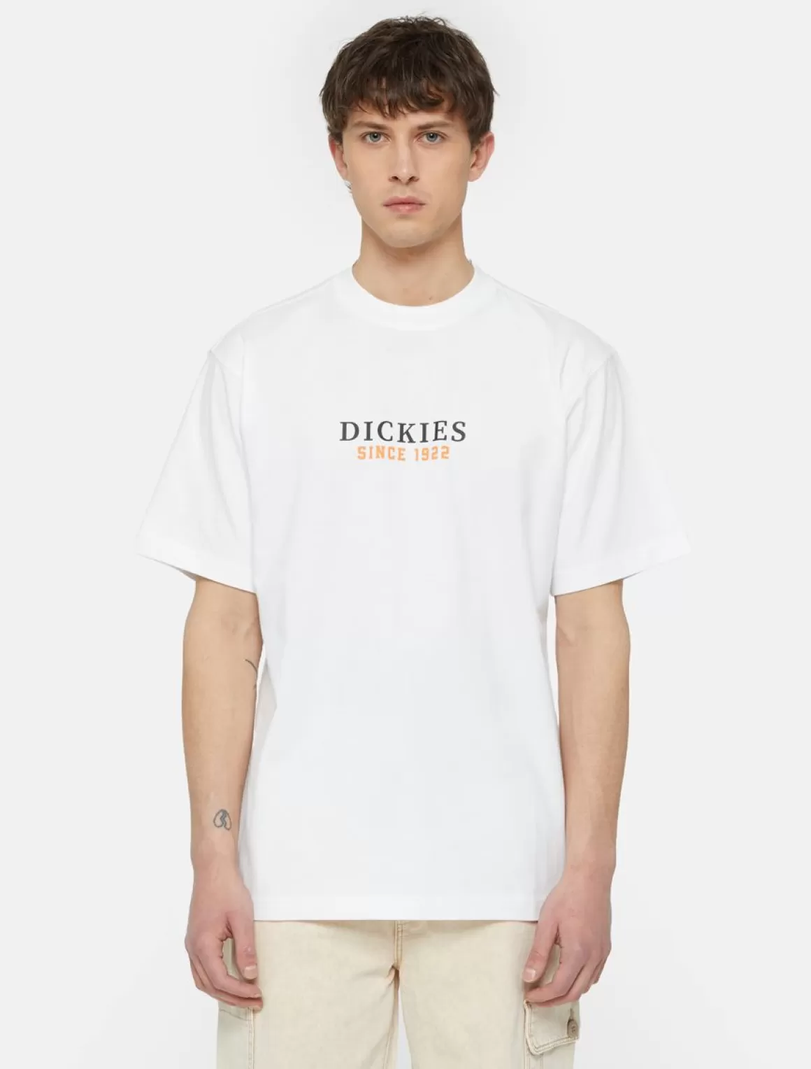 Dickies Park Kortærmet T-Shirt