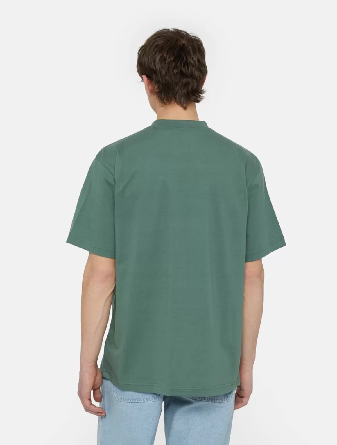 Dickies Park Kortærmet T-Shirt