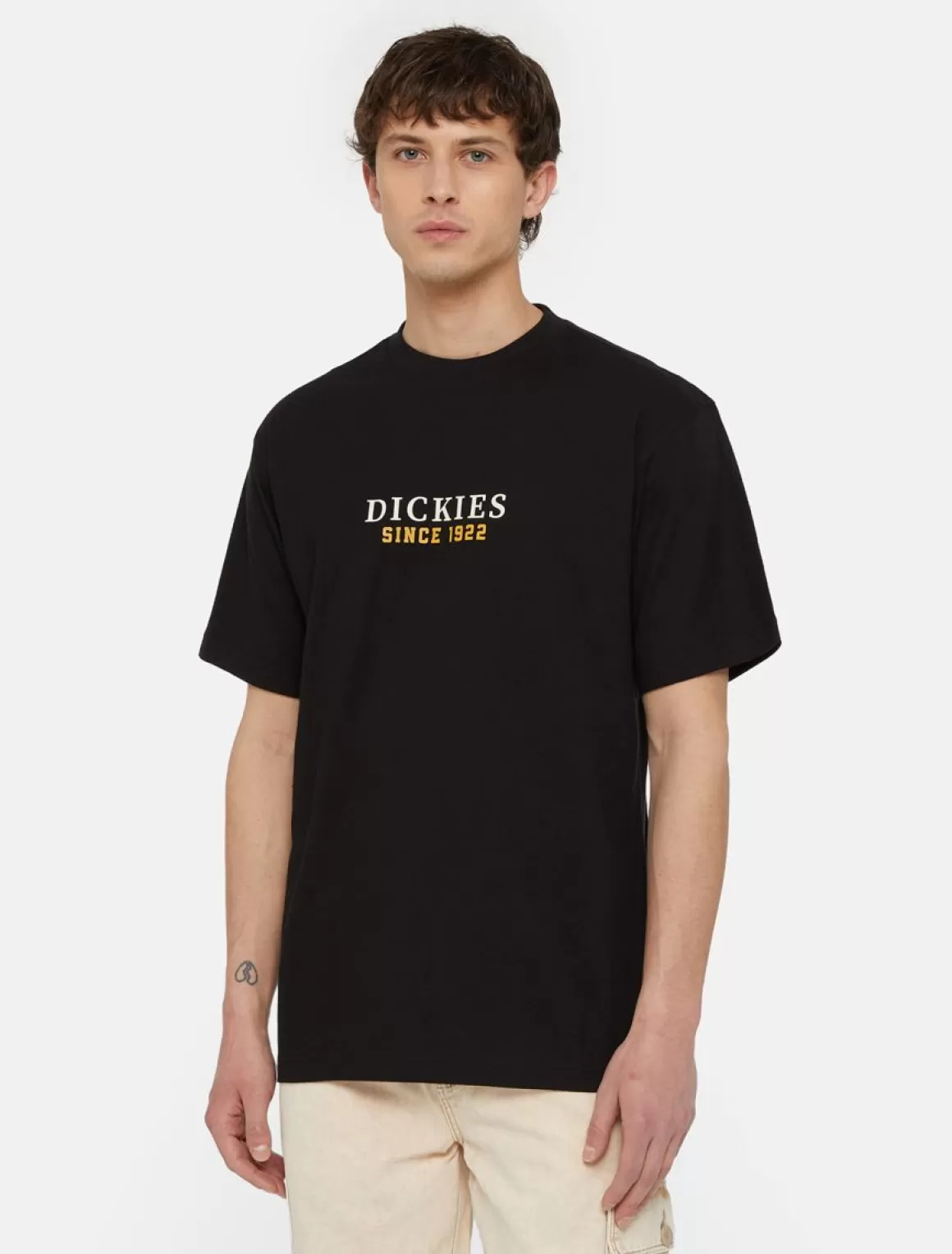 Dickies Park Kortærmet T-Shirt