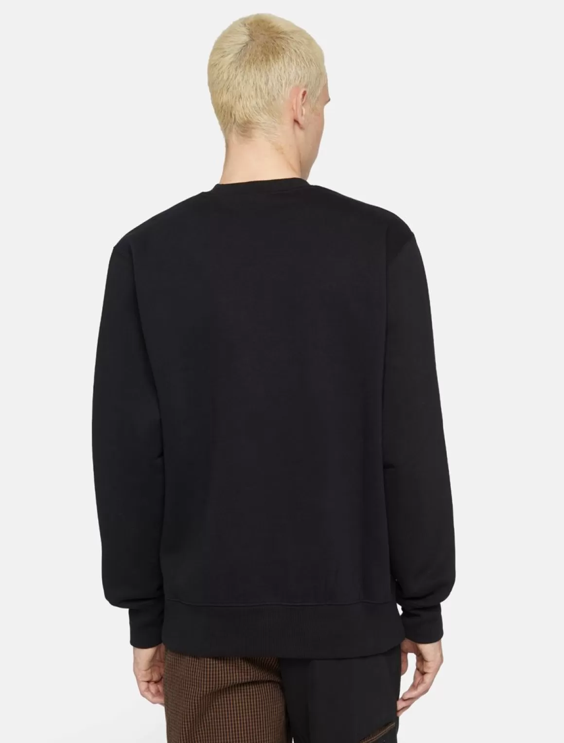 Dickies Park Sweatshirt