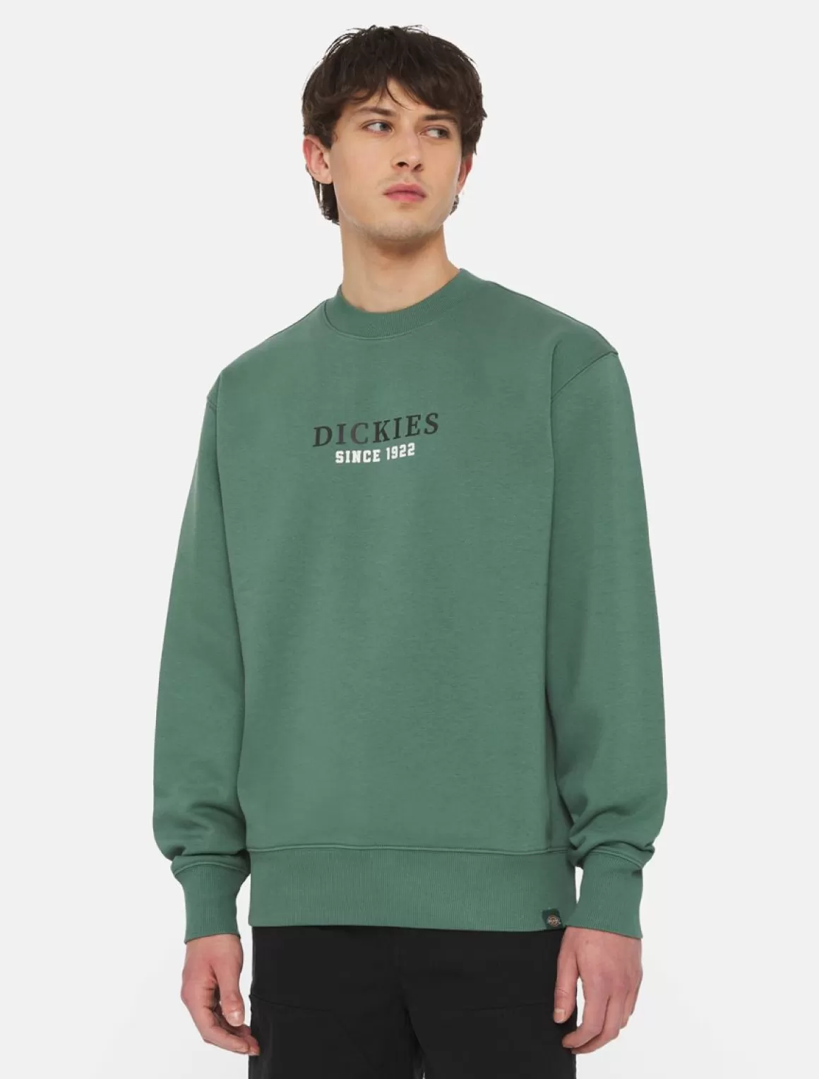 Dickies Park Sweatshirt