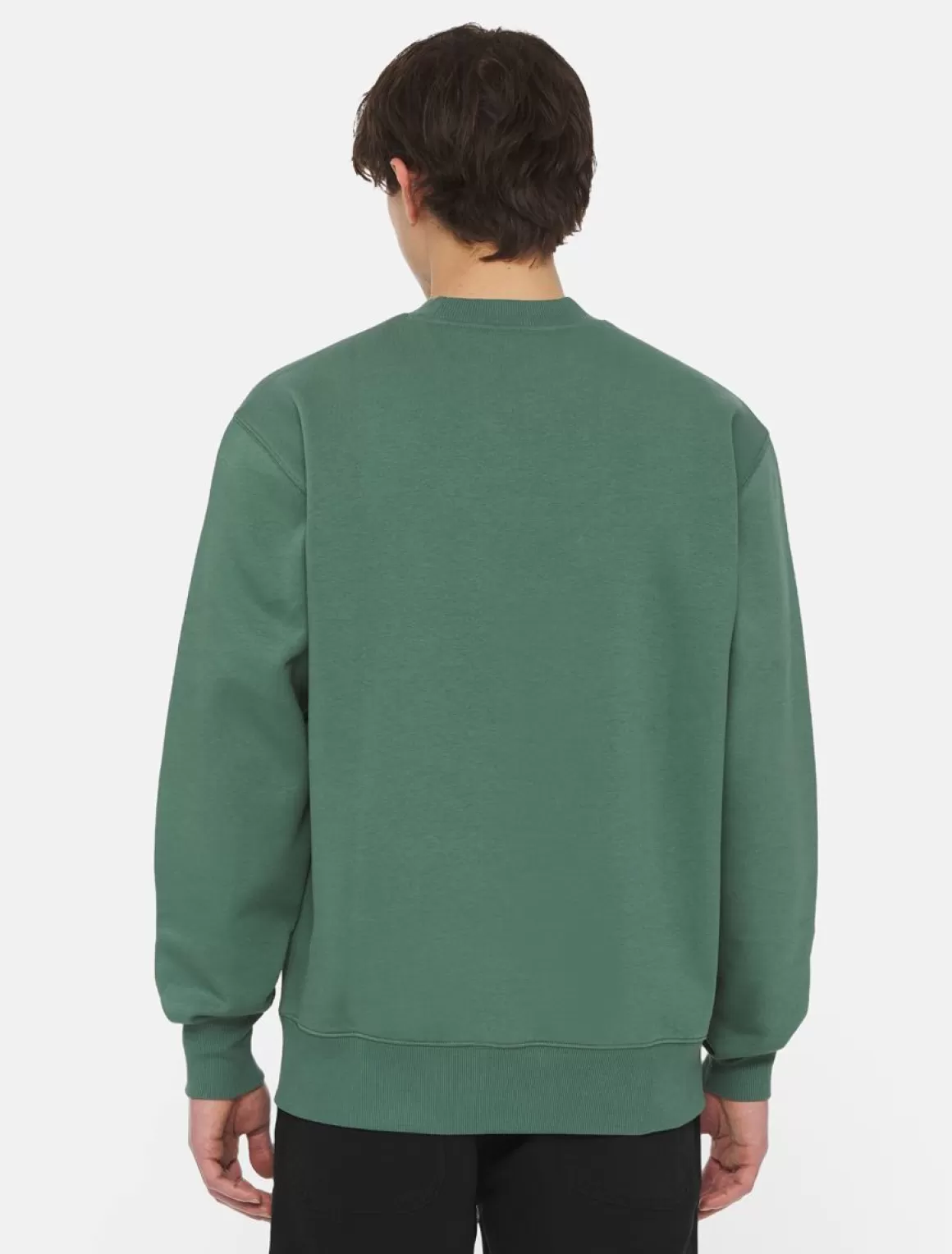 Dickies Park Sweatshirt