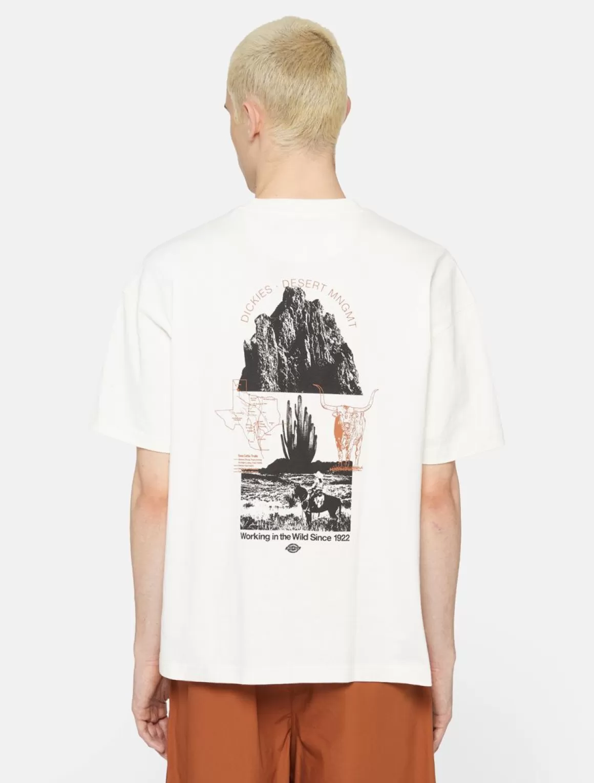 Dickies Pearisburg Kortærmet T-Shirt