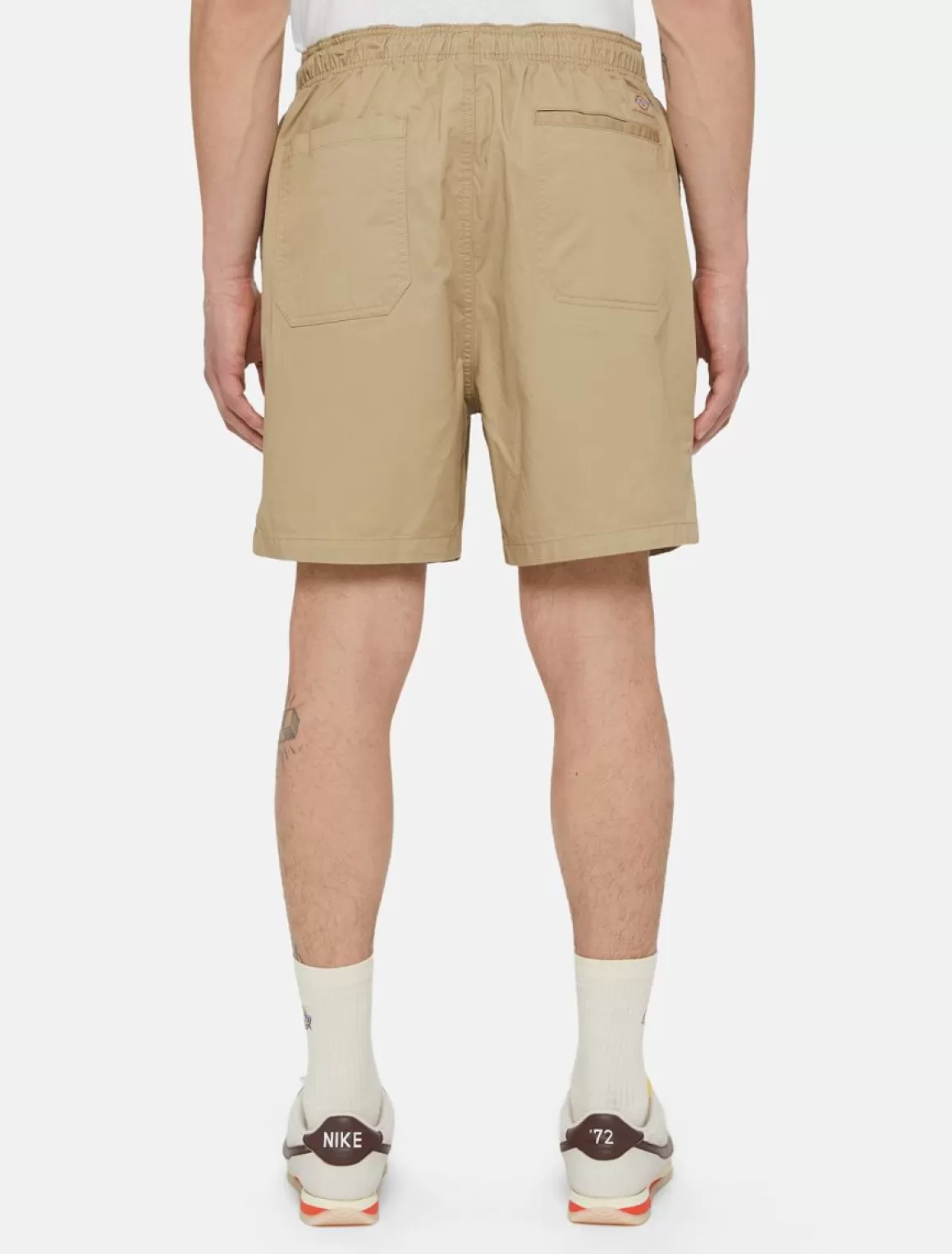 Dickies Pelican Rapids Shorts