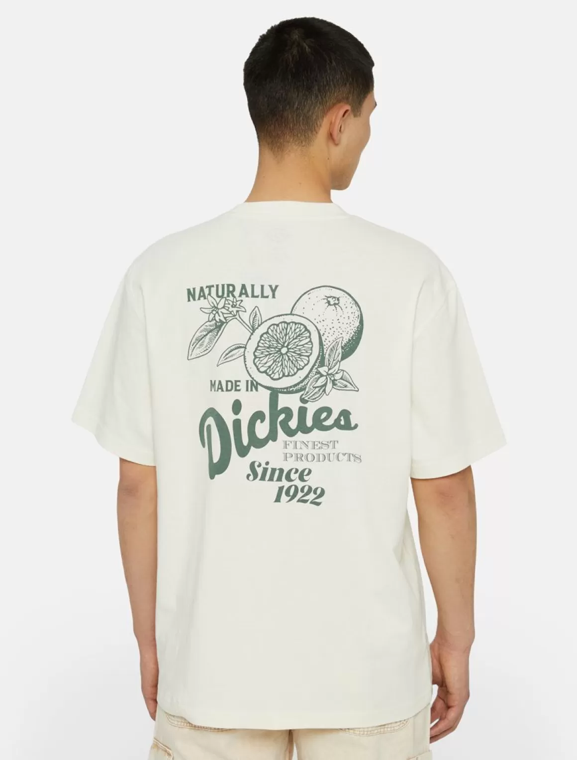 Dickies Raven Kortærmet T-Shirt