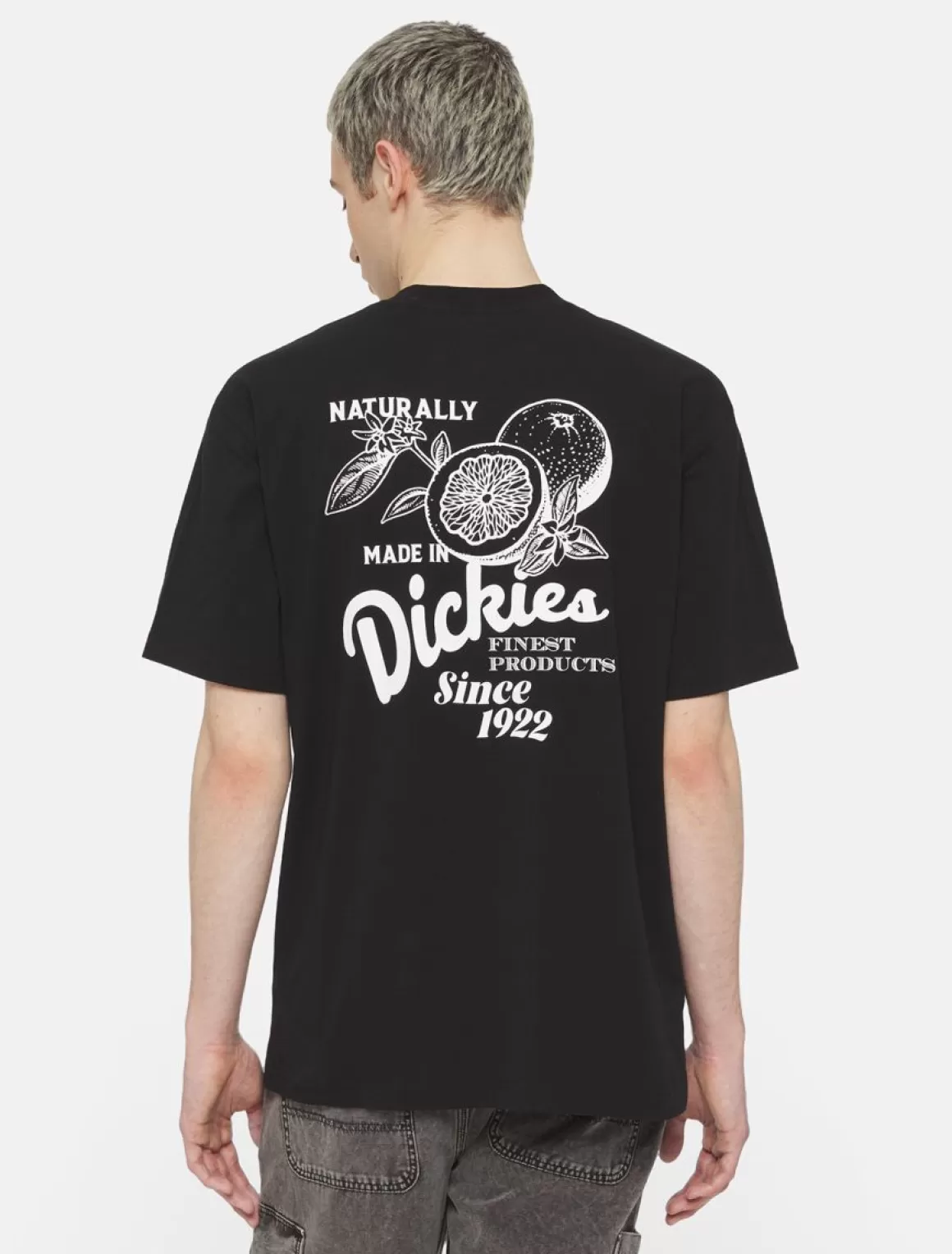 Dickies Raven Kortærmet T-Shirt