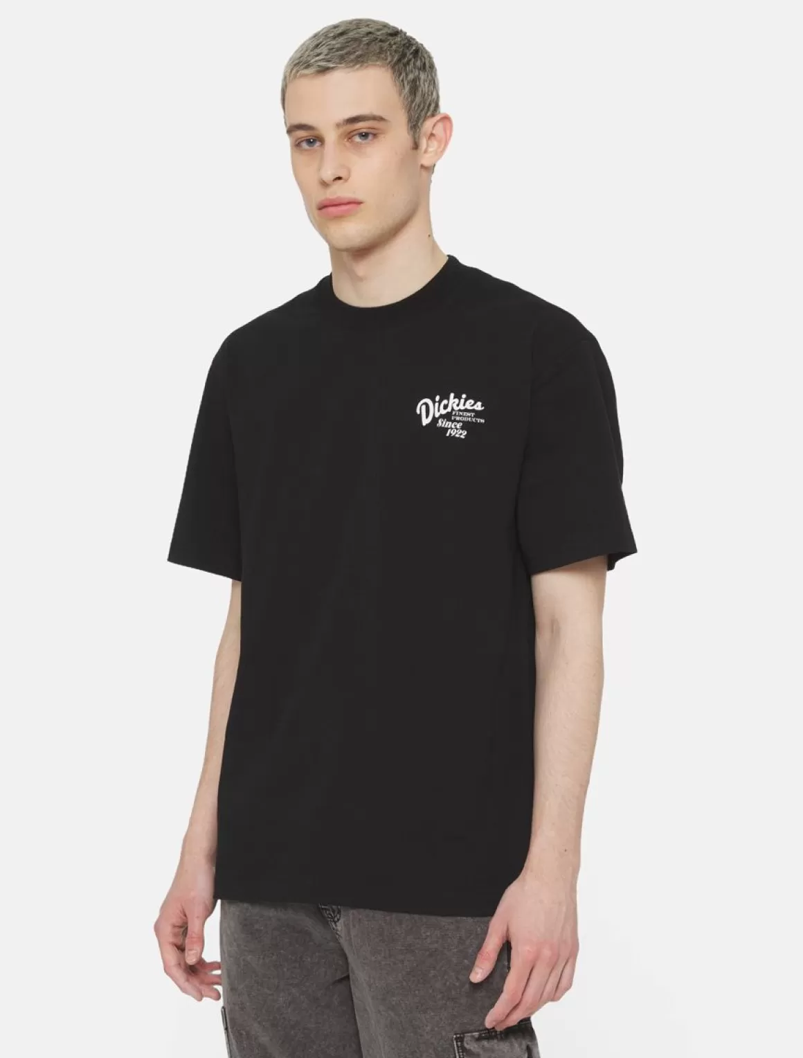 Dickies Raven Kortærmet T-Shirt