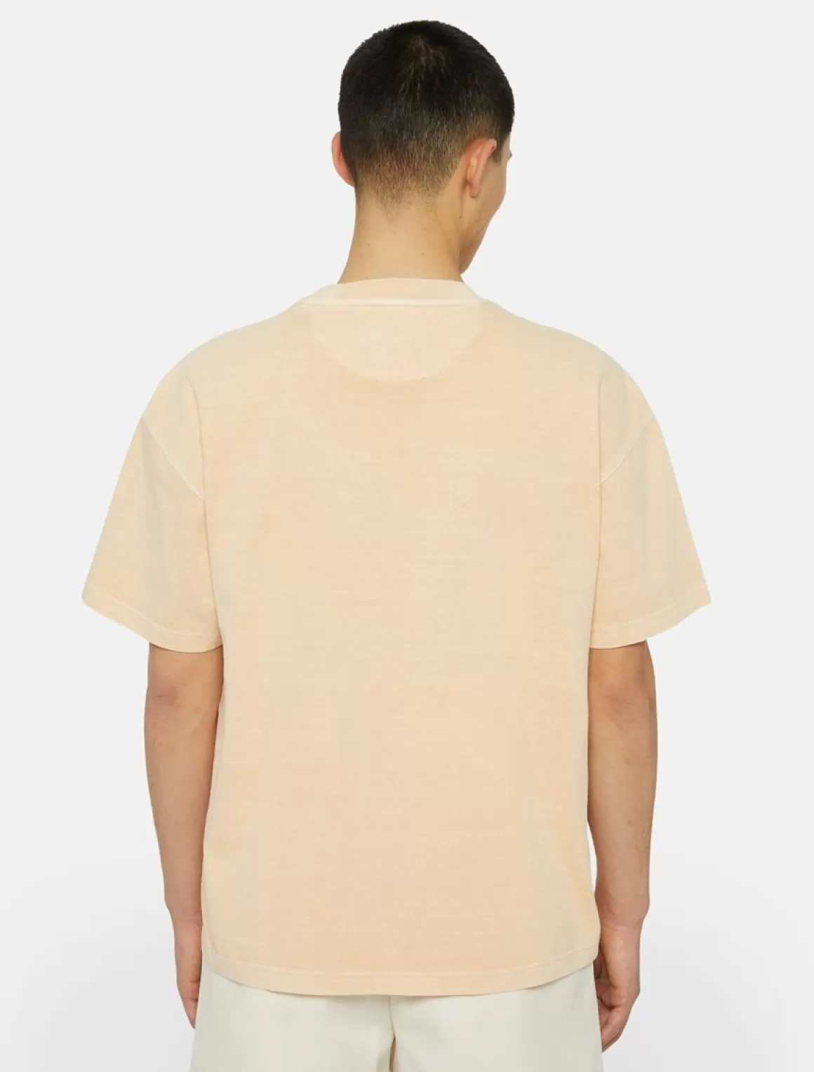 Dickies Rustburg Kortærmet T-Shirt