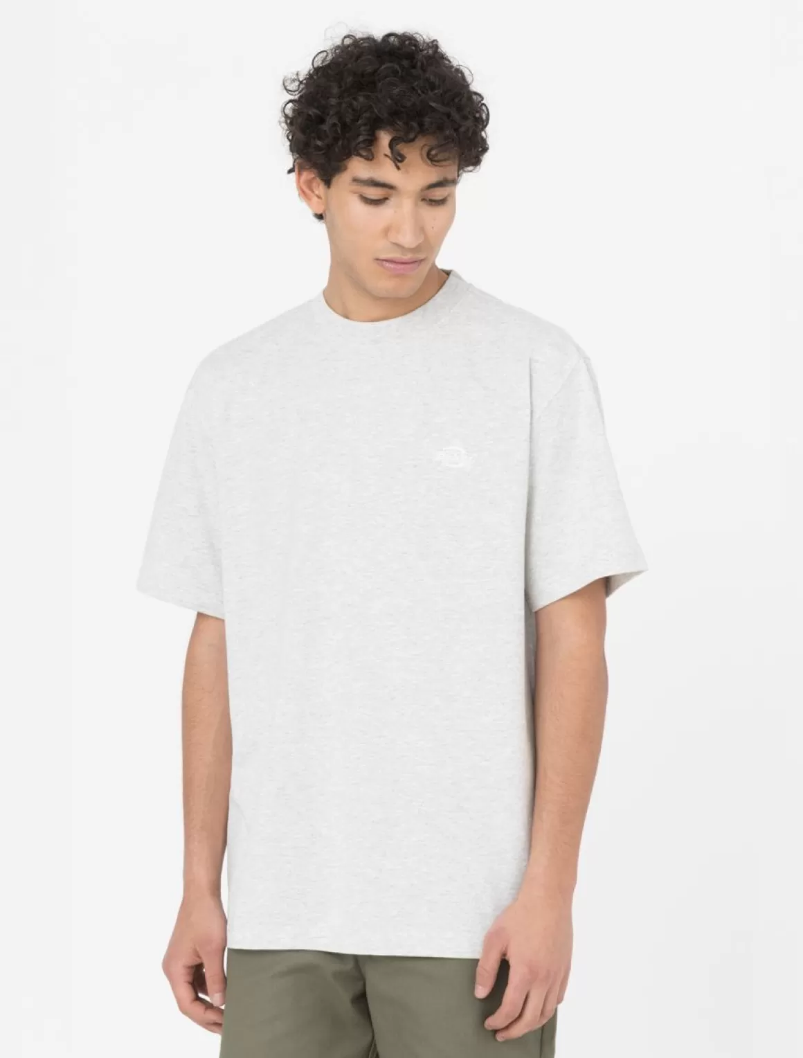 Dickies Summerdale Kortærmet T-Shirt