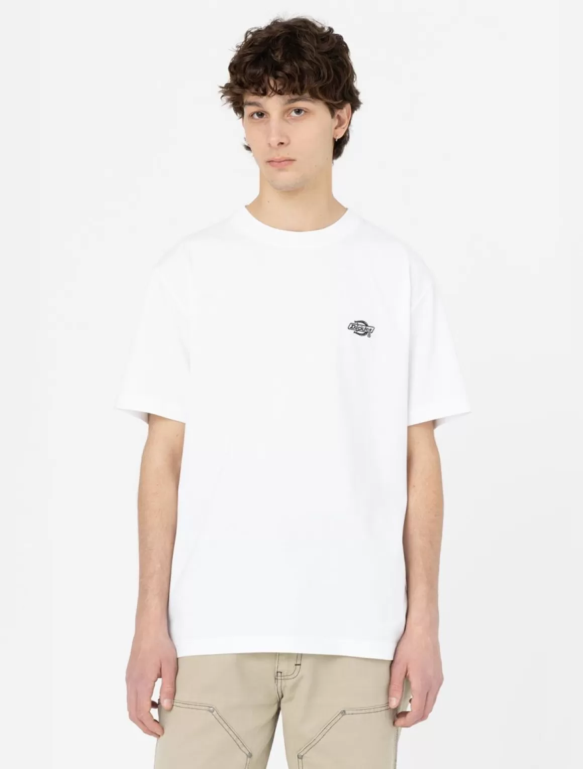 Dickies Summerdale Kortærmet T-Shirt