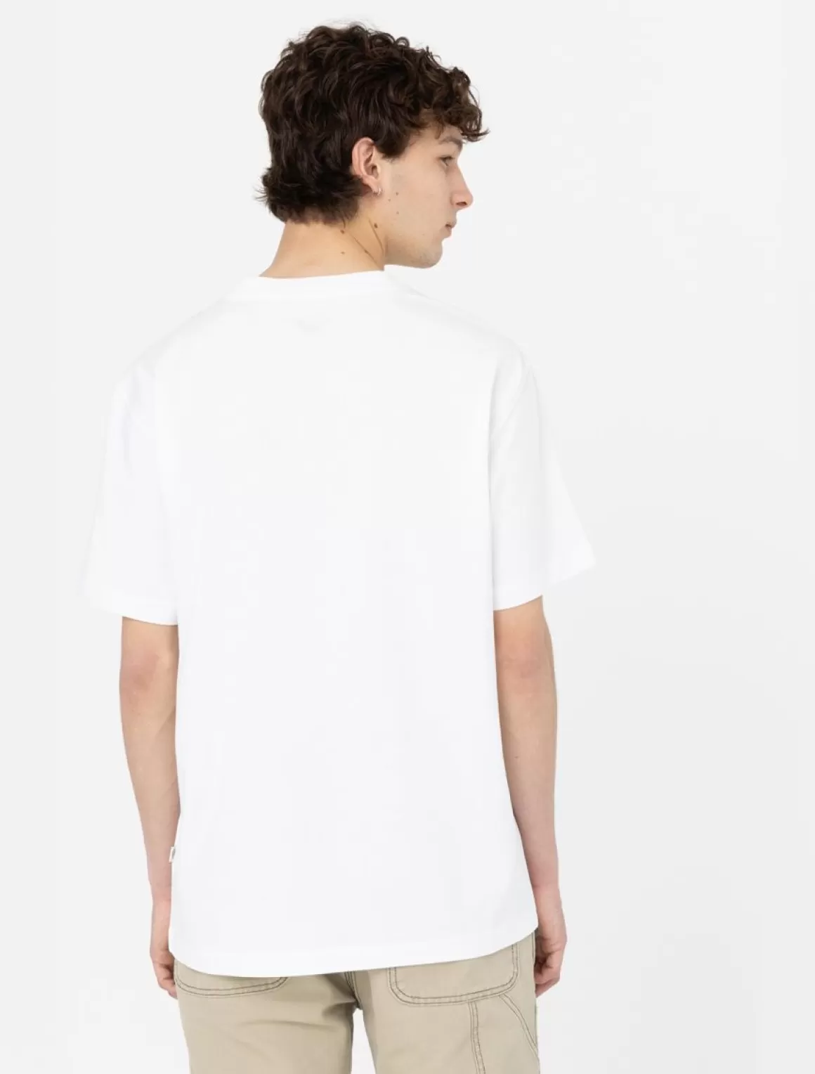 Dickies Summerdale Kortærmet T-Shirt