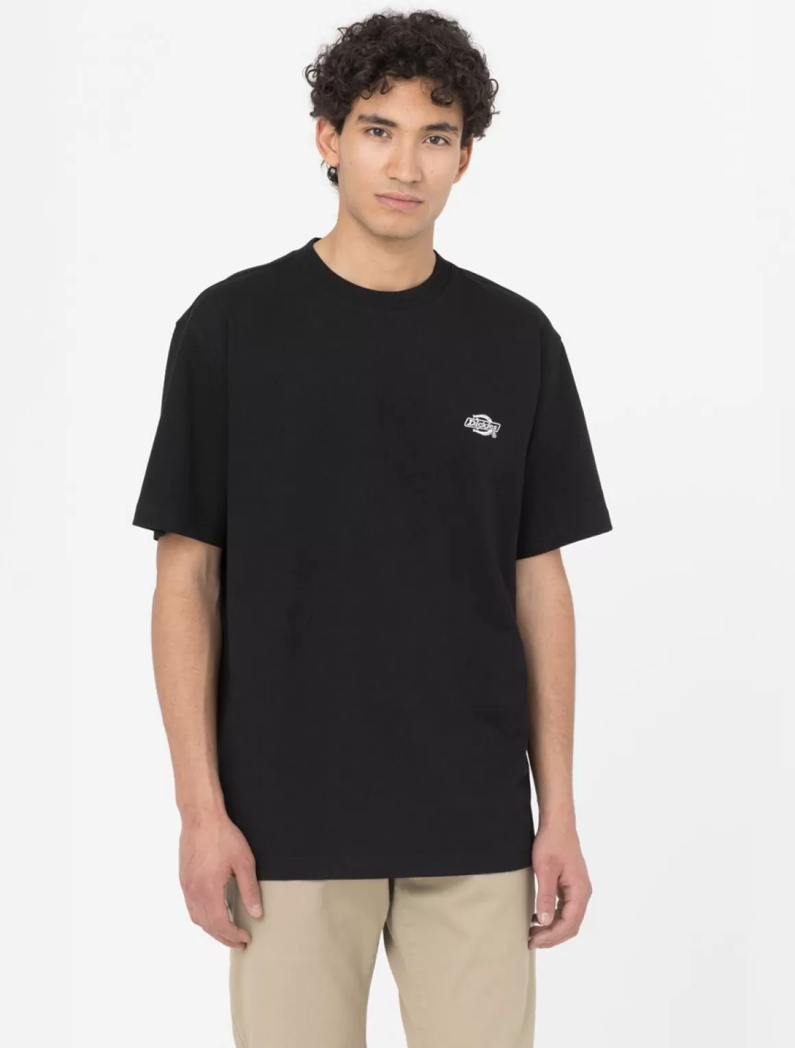 Dickies Summerdale Kortærmet T-Shirt