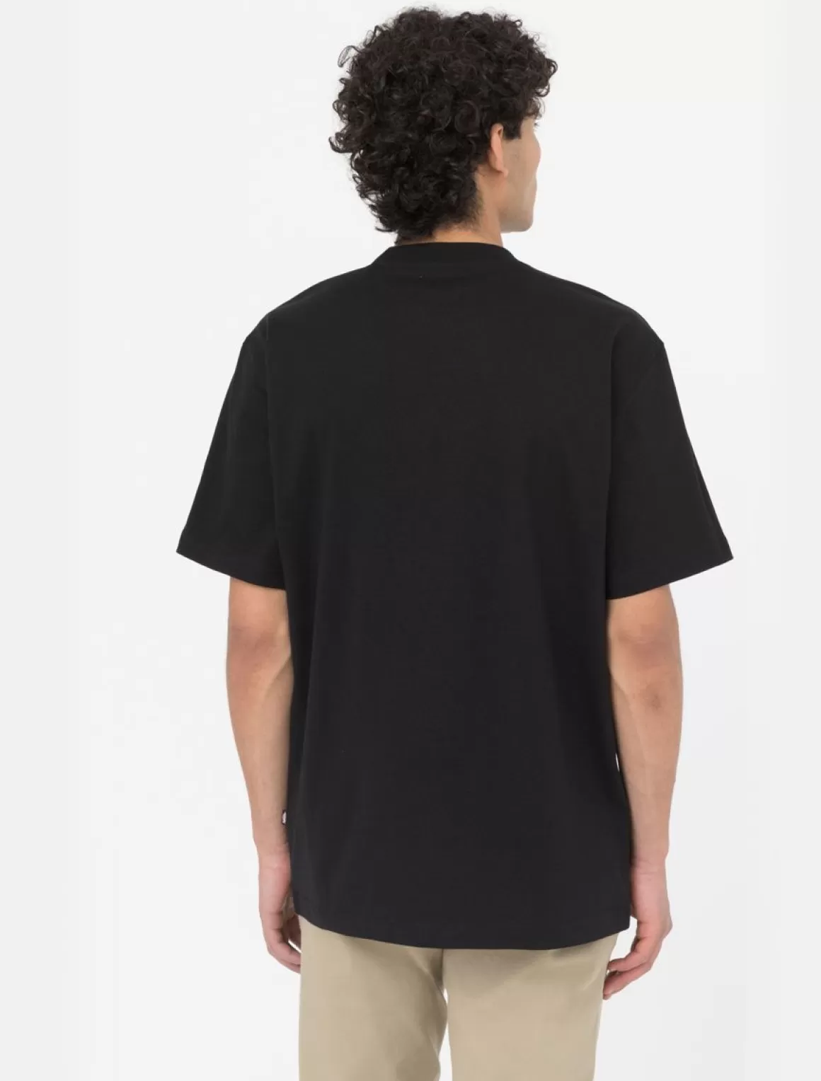 Dickies Summerdale Kortærmet T-Shirt