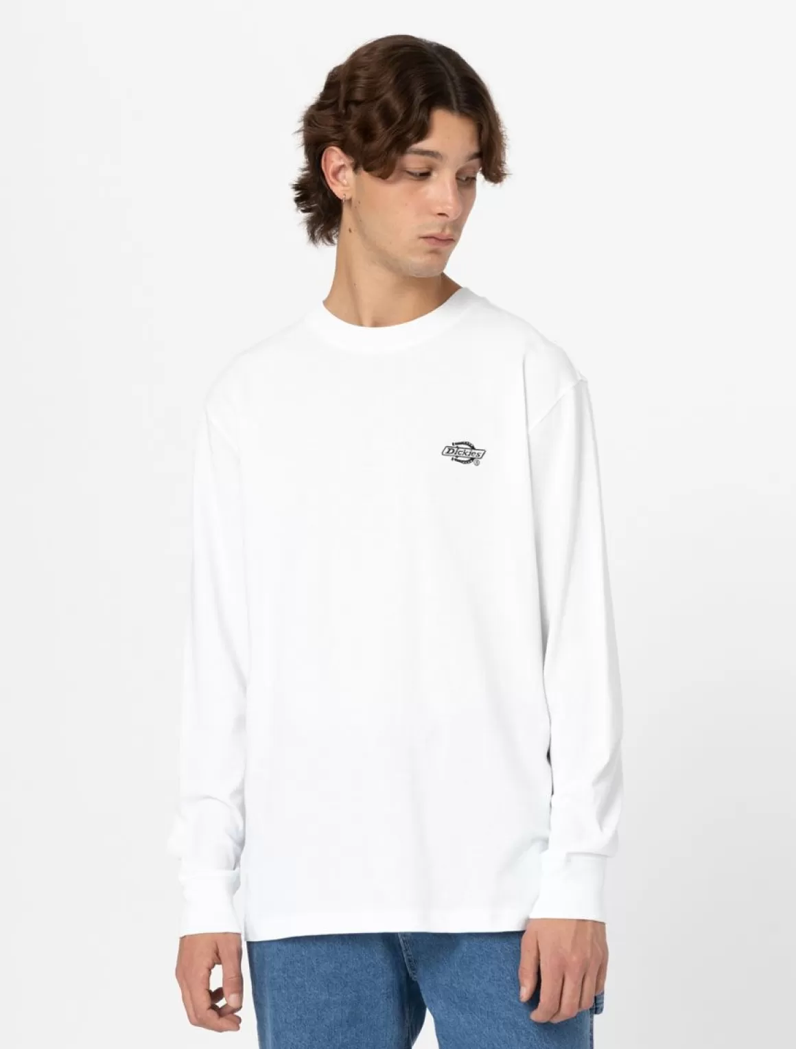 Dickies Summerdale Long Sleeve T-Shirt