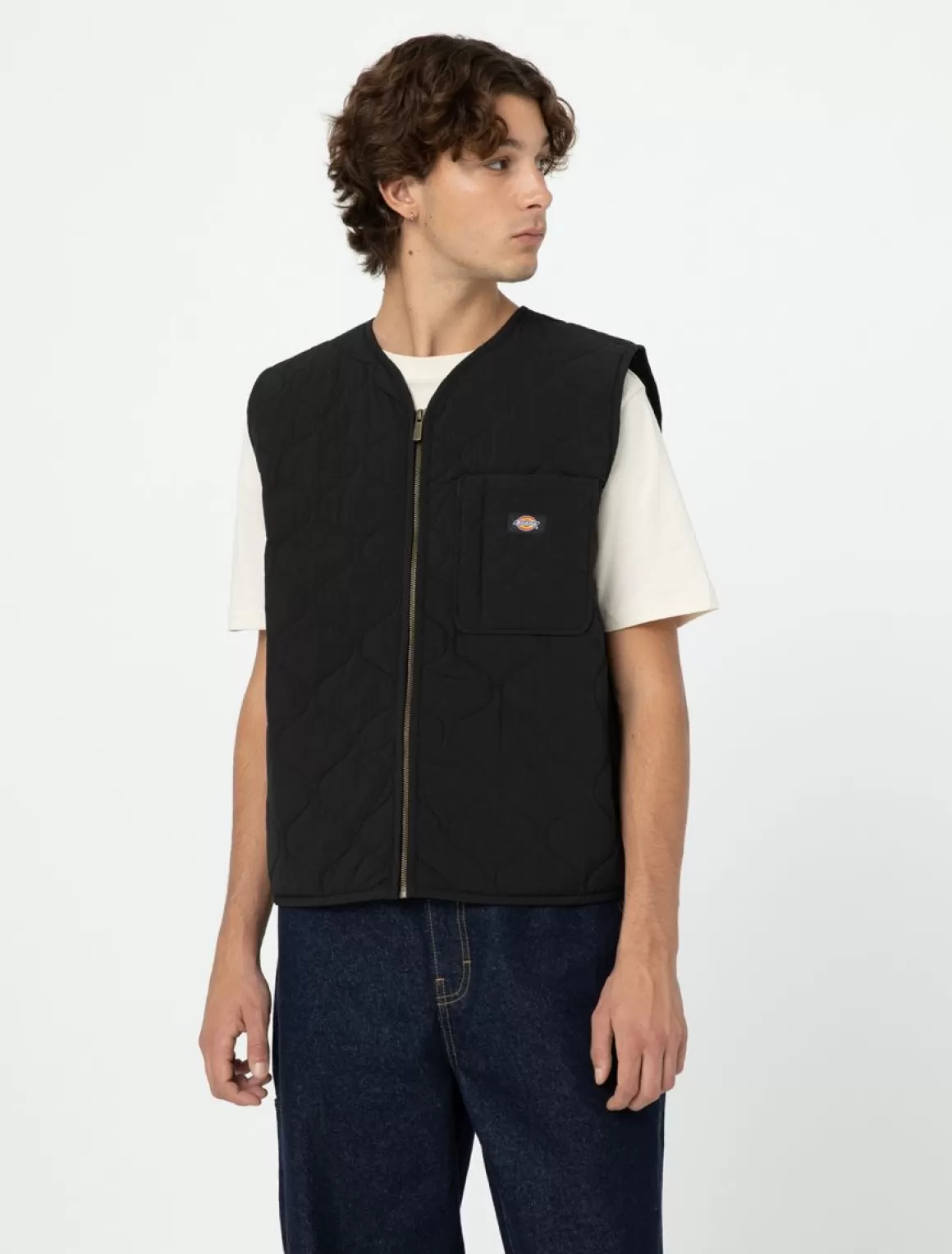 Dickies Thorsby Liner Vest