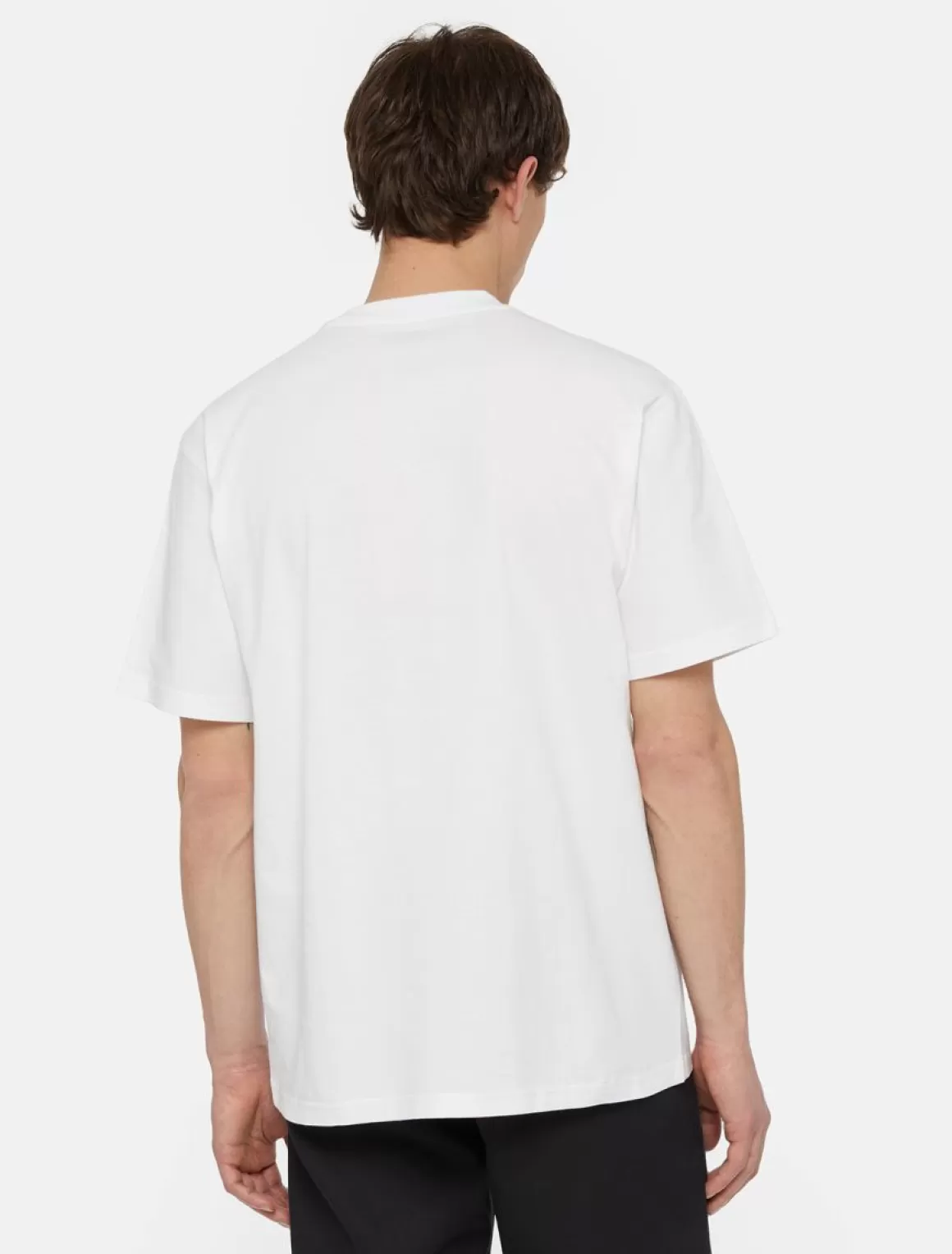 Dickies Timberville Kortærmet T-Shirt