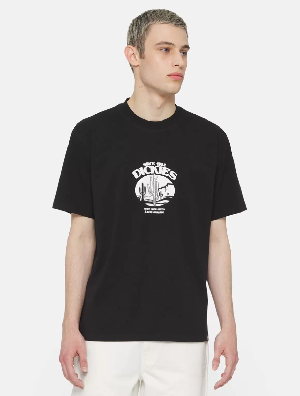 Dickies Timberville Kortærmet T-Shirt