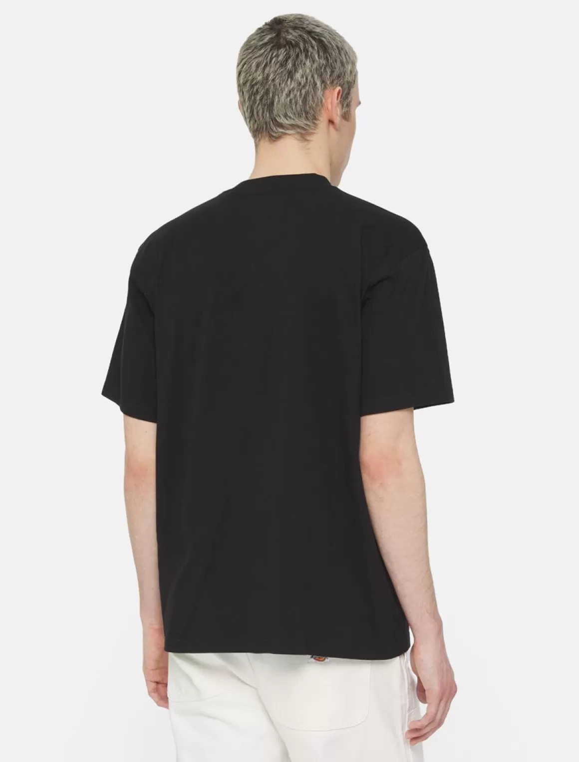 Dickies Timberville Kortærmet T-Shirt