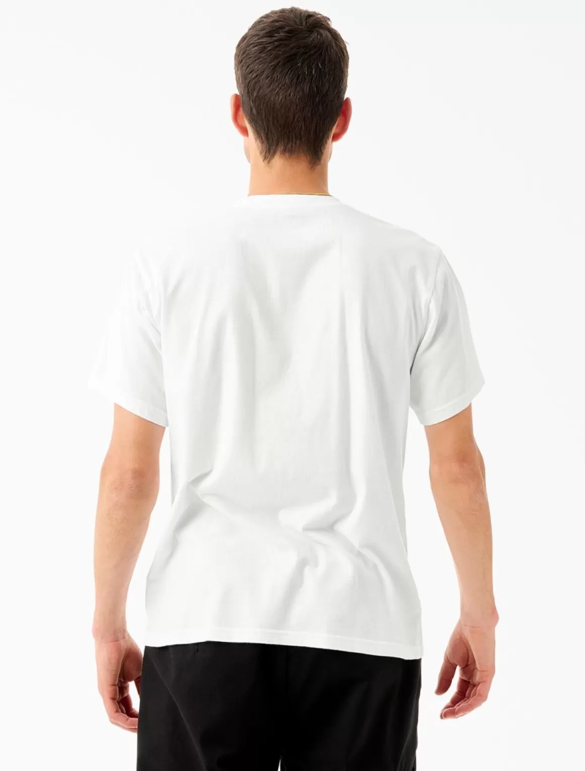 Dickies Tom Knox Grafik T-Shirt