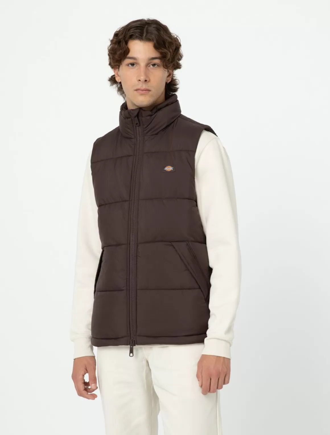 Dickies Waldenburg Vest