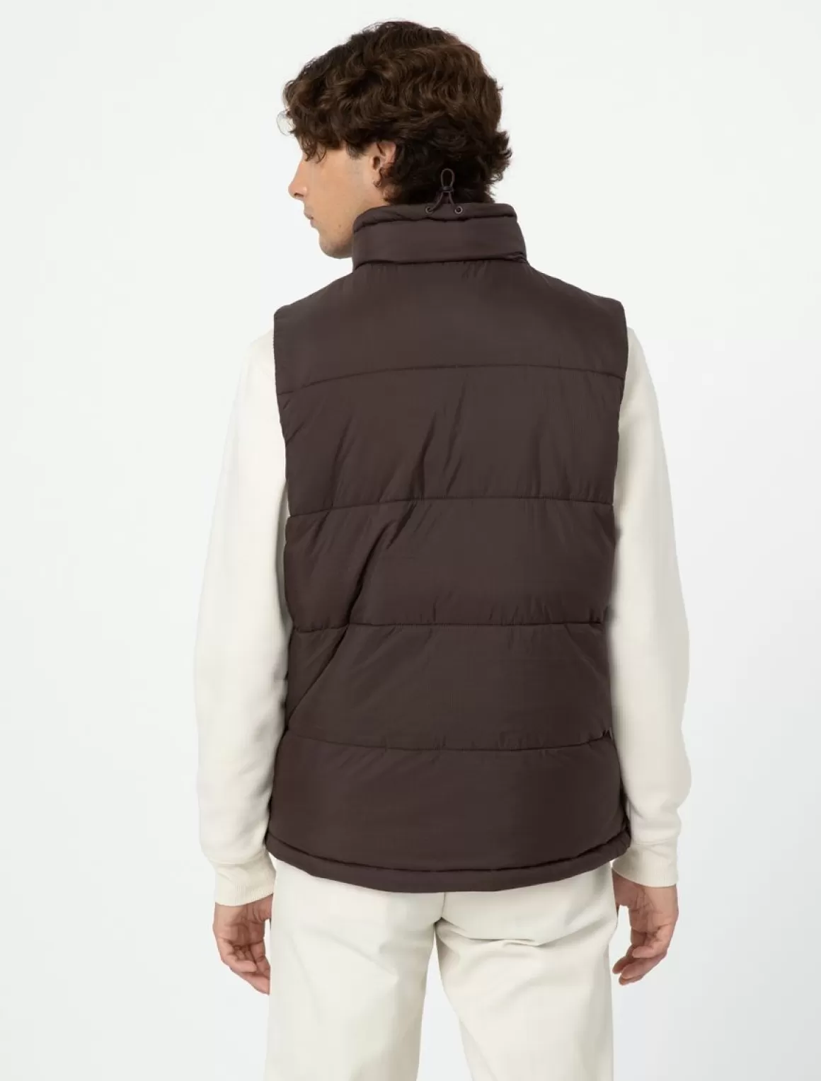 Dickies Waldenburg Vest