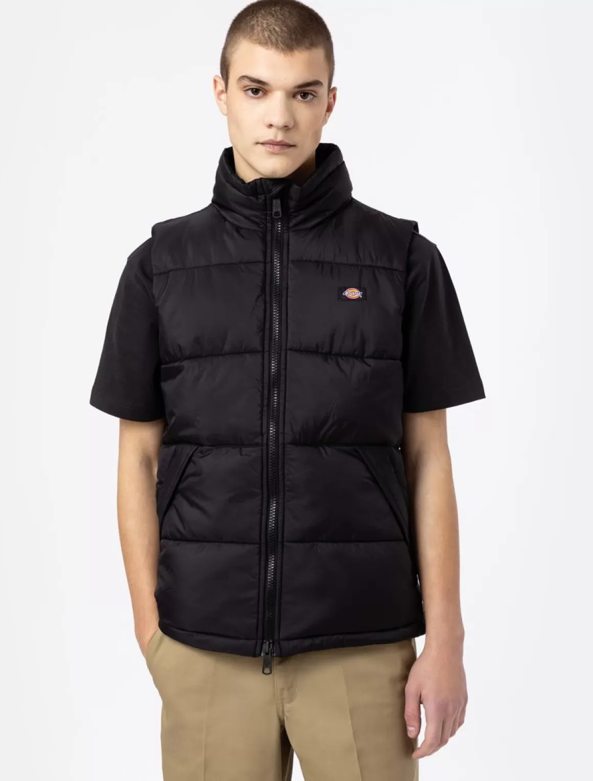 Dickies Waldenburg Vest