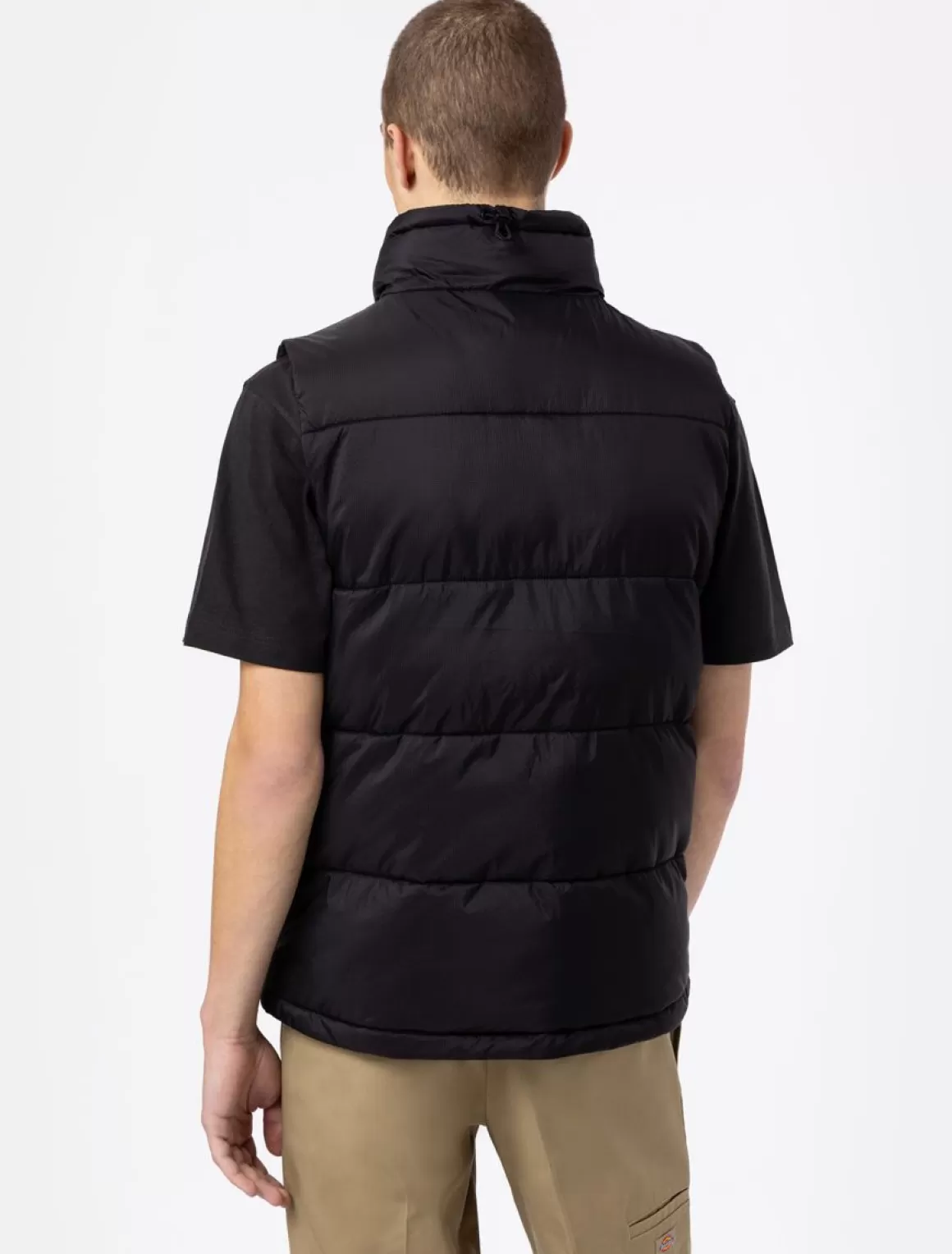 Dickies Waldenburg Vest