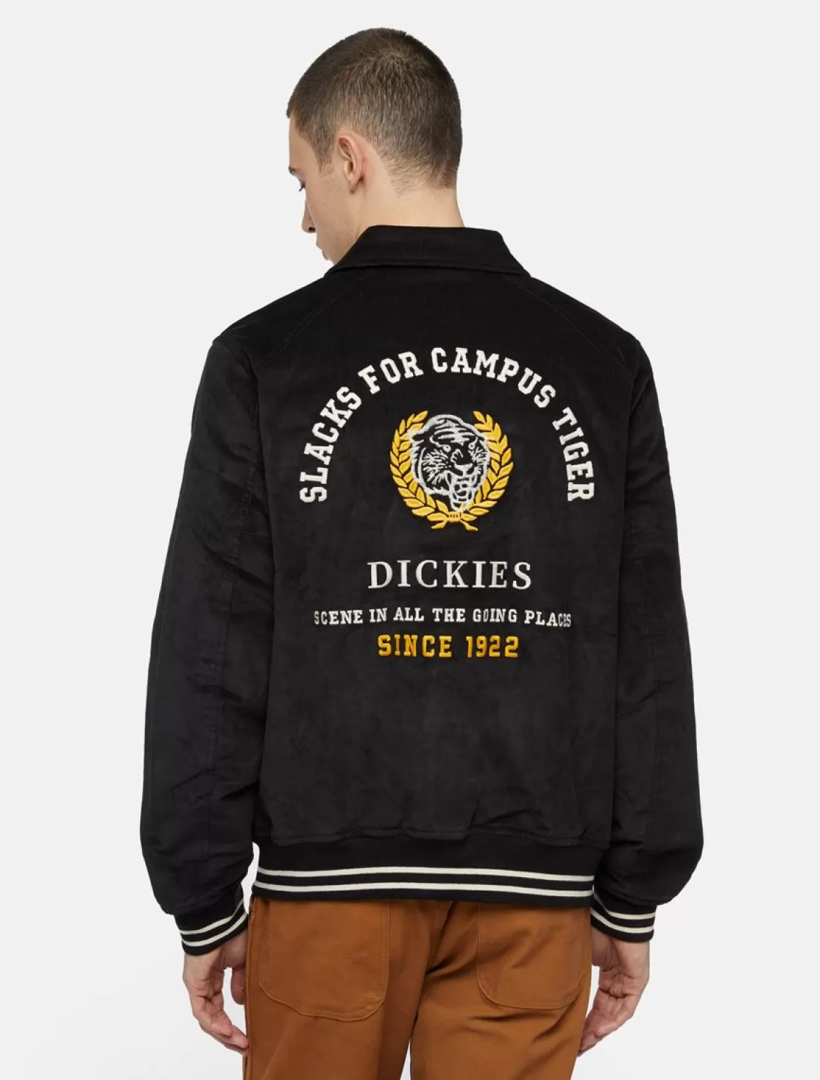 Dickies Westmoreland Fløjlsjakke