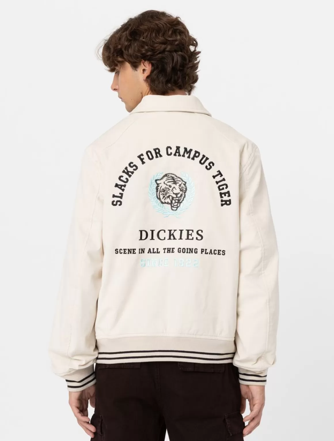 Dickies Westmoreland Fløjlsjakke